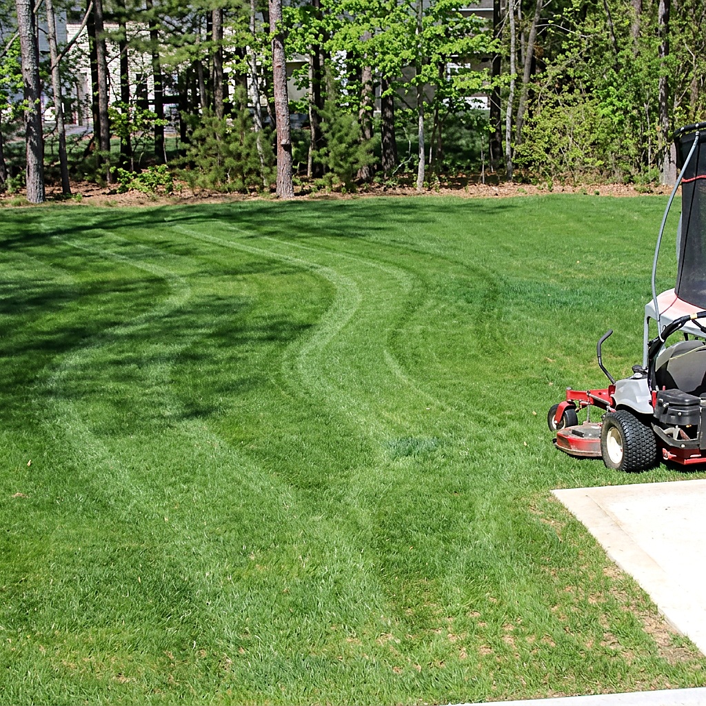 Crisp lawn mowing stripes